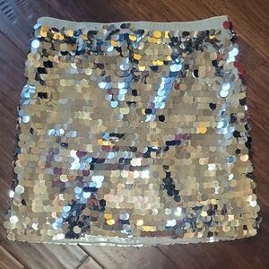Ann Taylor Shimmering Silver Sequin Mini Skirt